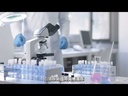 youtube - [Video]